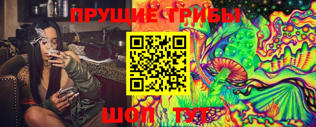 Псилоцибиновые грибы Psilocybe Урюпинск
